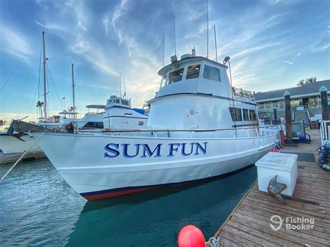 Dana wharf sportfishing & whale watching dana point - Dana Wharf Sportfishing & Whale Watching is dedicated to helping locals and visitors alike enjoy the unique wonders of Dana Point Harbor and the Orange County coastline. The warm waters right out of Dana Point Harbor …